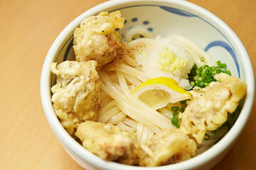 Udon with chicken, Japanese style udon