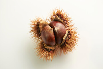 chestnuts on a white background	