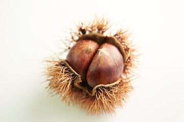 chestnuts on a white background	