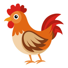 Chicken Vector art on a Clean White Background