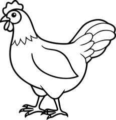 Chicken Line Art on a Clean White Background