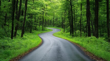 Fototapeta premium Serene Forest Road Amid Lush Greenery