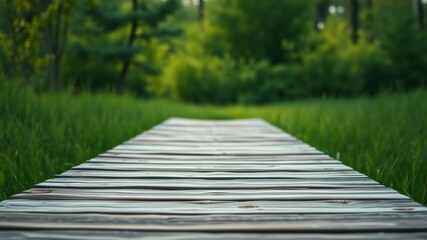 Fototapeta premium Wooden walkway leading into a verdant natural landscape