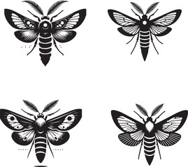 4 Set of Black Silhouettes of Clearwing Moth Isolated on White Background Capturing Delicate Beauty in Black and White