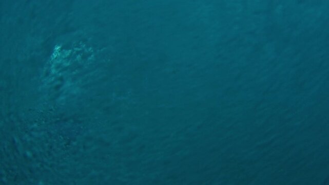 Teen boy surfer dives under the wave with surfing board