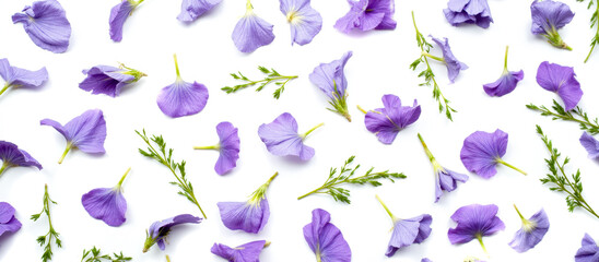 Fototapeta premium Scattered purple petals and fresh green leaves, floral design, nature inspired, botanical elements, white backdrop, vibrant and colorful, springtime, decorative pattern