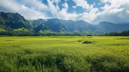 Fototapeta premium Spectacular Green Grasslands and the Majestic Shadow of Volcanoes.