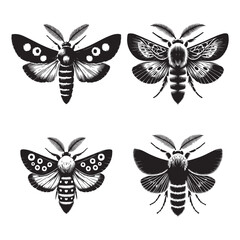 4 Set of Black Silhouettes of Duckweed Moth Capturing Delicate Elegance in Black and White