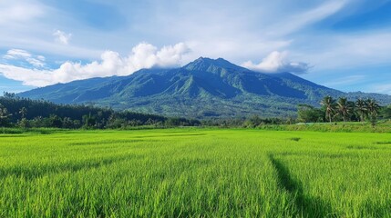 Where Green Meadows Meet Majestic Volcanoes and Open Skies.