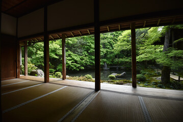 蓮華寺　書院から新緑の庭園を望む　京都市左京区