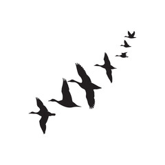 flying duck silhouette vector line art design