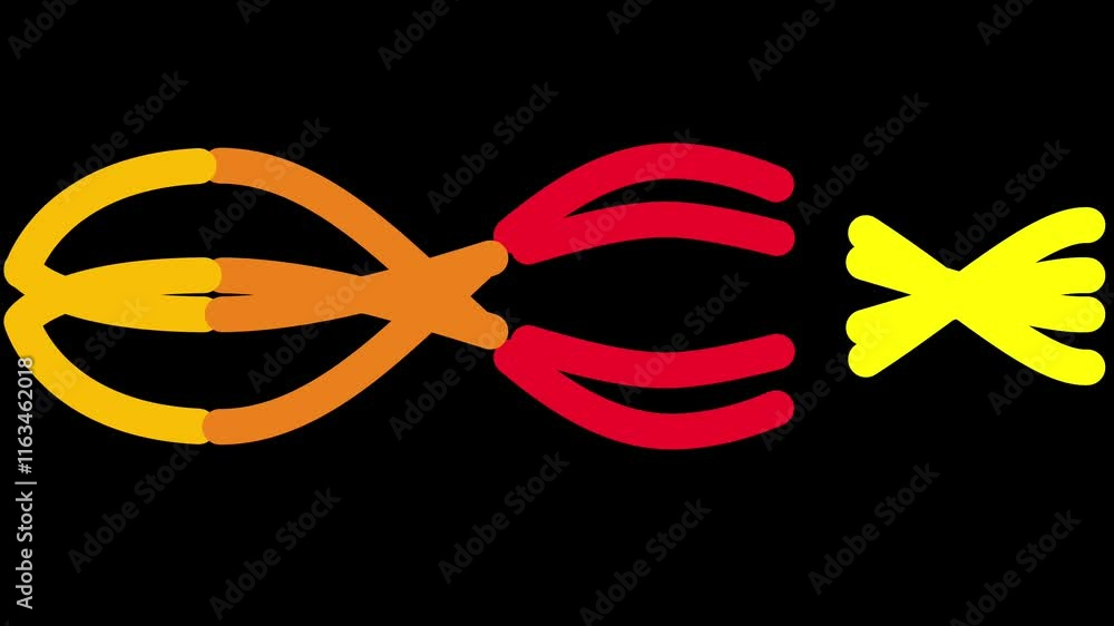 Aufkleber animation of colorful line shape composed of flowing lines in yellow, orange, and red creates a dyna