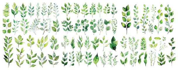 Set of green watercolor leaves on isolated background	