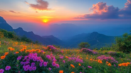 Obraz premium Serene Sunset over Mountain Wildflowers