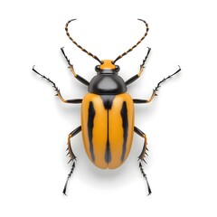 High-resolution, close-up image of a beetle with striking orange and black stripes.