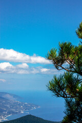 Sea view from a high mountain. Pine branch against blue sky with clouds and sea below.