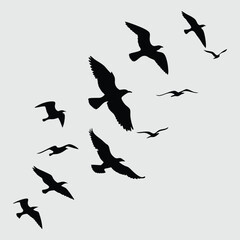Birds flying silhouette vector design art and illustration