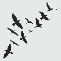 Birds flying silhouette vector design art and illustration