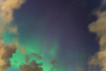 Mesmerizing northern lights dance above the clouds, illuminating the night sky with a myriad of stars.