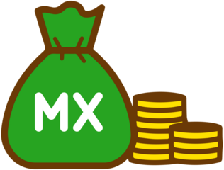 Mexican Peso Money Bag