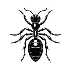 Ant (Formicidae) silhouette design, labeled linocut vector illustration.