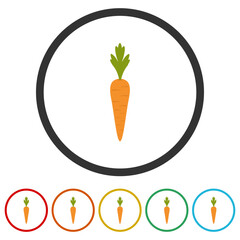 Carrot icon. Set icons in color circle buttons