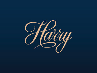  luxury name font, artistic signature text, bold calligraphy name, fashionable name lettering, designer name typography,