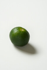 Green Citrus Japonica on white background