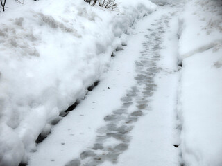 footprints on the snow-melting path