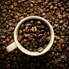 coffee beans in a cup