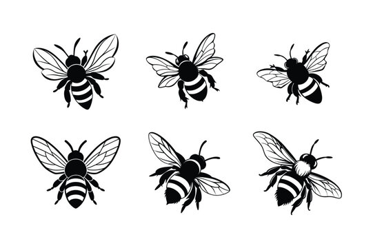 Bumblebee (Bombus) silhouette design, labeled linocut vector illustration.