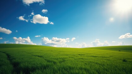 Fototapeta premium Serene Rolling Hills of Lush Green Grass Under a Vivid Blue Sky with Fluffy White Clouds