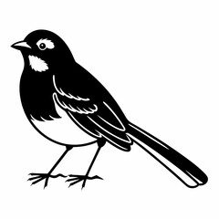 bird on a branch