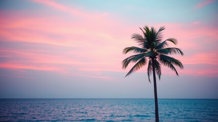 Obraz premium Serene Coastal Sunset with Single Palm Tree Silhouette