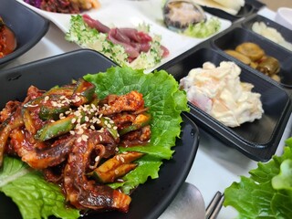 Spicy Stir fried Octopus. Korean food