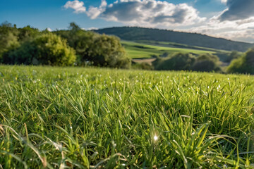 Beautiful outdoor green grass ground field mountain hill and tree public park with cloudy blue sun light sky background landscape in day time