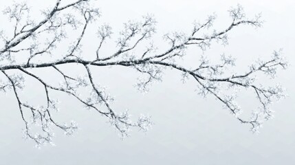 Obraz premium A frosty tree branch with delicate snowflakes, isolated on a transparent background for winter decor themes