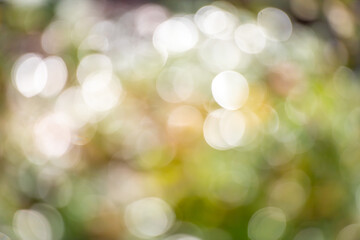 A blurry image of a green background with pink flowers