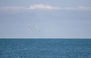 Blue sea and blue sky with white clouds. Seascape.