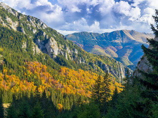 Beautiful autumn scenery in the Transylvanian Alps with golden foliage