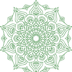 Beautiful flower art and mandala vector design