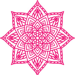 Beautiful flower art and mandala vector design