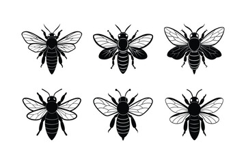 Carpenter Bee (Xylocopa) silhouette design, labeled linocut vector illustration.