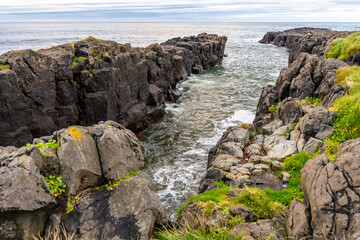 The rocky sea cliffs on the east coast of Iceland’s Vatnsnes peninsula create a breathtaking view