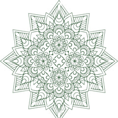 Beautiful flower art and mandala vector design