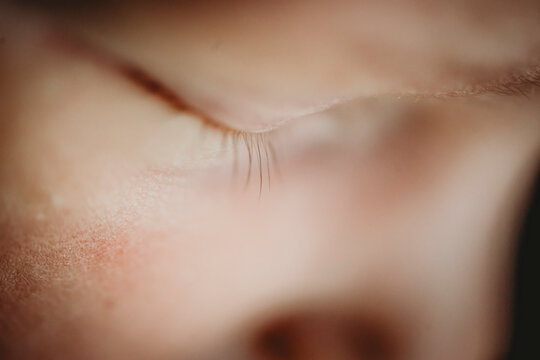 Newborn baby eyelashes close up detail