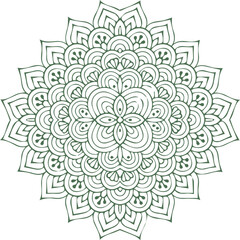 Beautiful flower art and mandala vector design