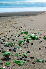 Broken glass bottles on beach. At Muriwai, Auckland Region, New Zealand.