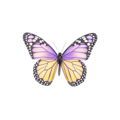 Monarch butterfly clipart transparent nature artistic expression isolated view beautiful insect illustration