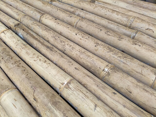 Natural Beige Bamboo Poles, Rustic Texture, Close-up View
